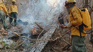 Gobierno de Bolivia declara emergencia nacional por los incendios forestales