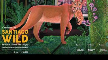 Conoce la cartelera de cine ambiental que será parte del festival Santiago Wild en marzo
