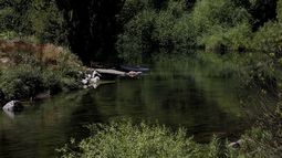 SMA formula cargos ante desviación de Río Blanco por parte de forestal