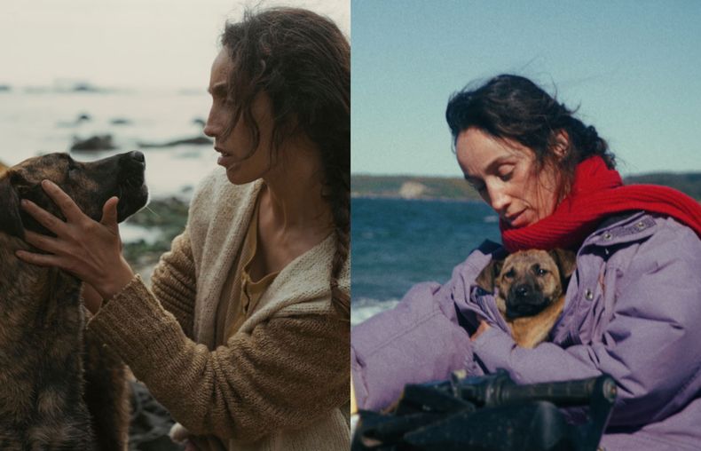 Yuri gana el Palm Dog 2026 en le Festival de Cannes - Instagram @domingasotomayor