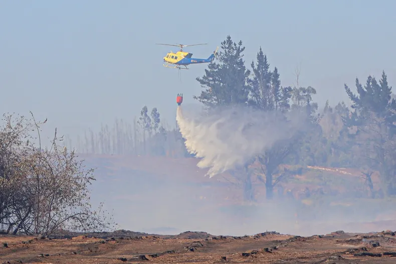 11504 mulchen incendio.webp