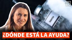 Ana Luisa Jouanne: Hay 80 mil niños con consumo problemático. ¿Cuántos GES se usaron el año 2025? Menos de 700