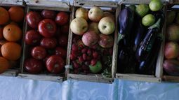 Junaeb rompe récord de compra de fruta y verdura fresca a campesinos para alimentación escolar