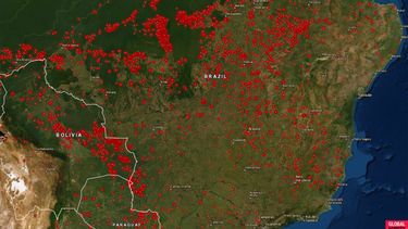 Las consecuencias devastadoras de los incendios en la Amazonía de Brasil