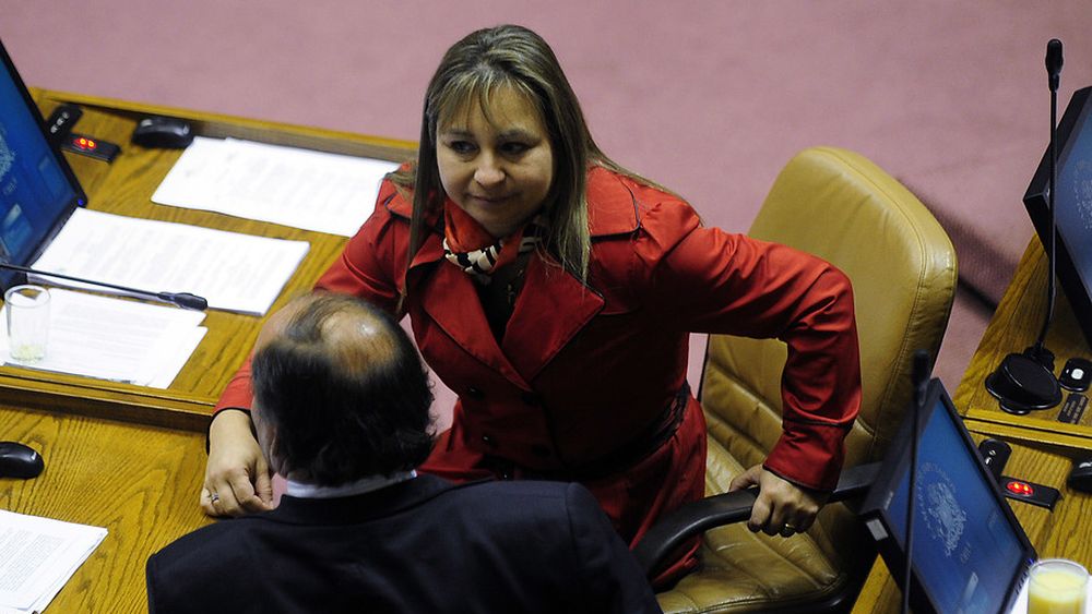 Marisol Turres (UDI) sobre el aborto: Defienden mucho a los animales, pero no el derecho a la vida