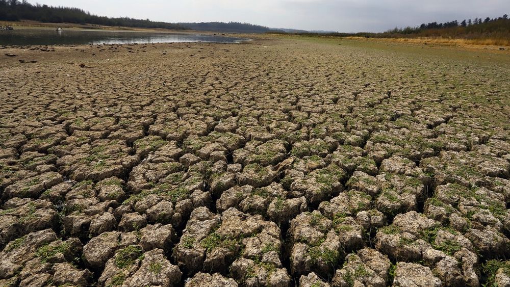 Sequía afecta dramáticamente la capacidad del Lago Peñuelas
