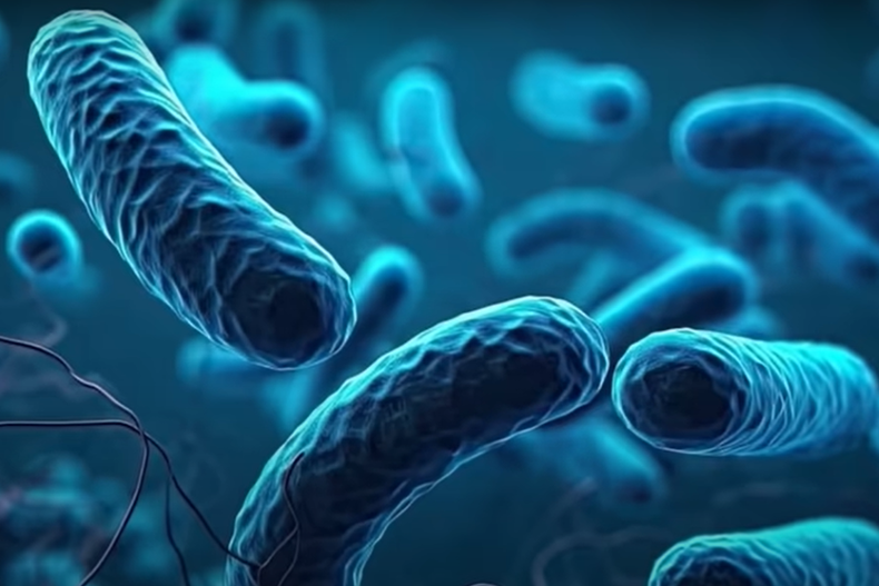 8442 bacteriamexico.png