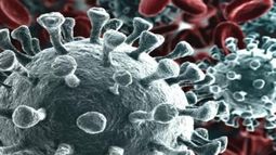 OMS llama a la calma: Sudáfrica informa que detectó nueva cepa del coronavirus distinta a la del Reino Unido