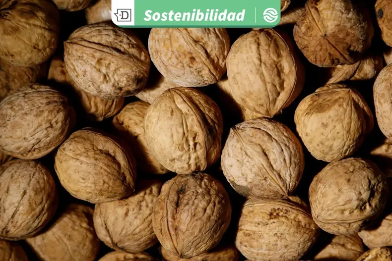 21745 diseno sin titulo 2025 09 01t114033.webp