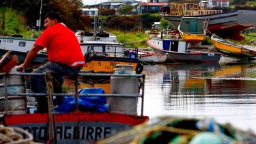 Pescadores artesanales de Aysén apoyan Ley de Fraccionamiento: Piden 70% para Merluza y Congrio Dorado