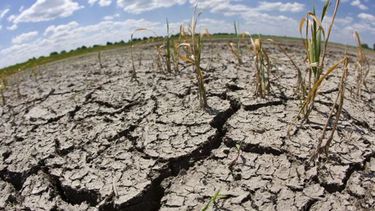 Greenpeace asegura que en 2040 Chile vivirá la misma escasez hídrica que países africanos