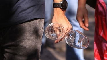 Vino orgánico chileno entre los mejores del mundo por su increíble facilidad de beber