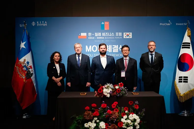 25032 boric seul.webp