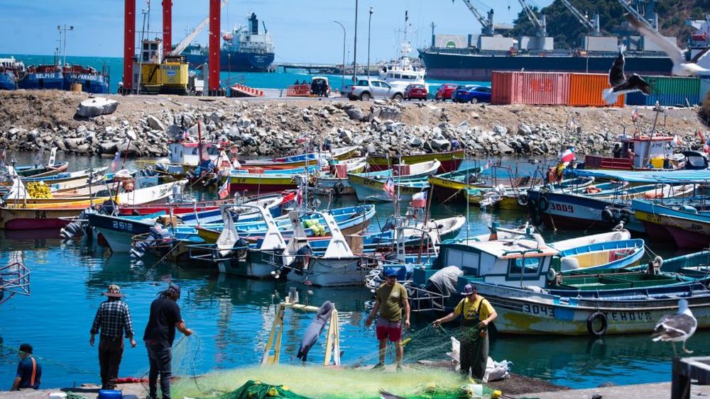 Nueva Ley de Pesca: Nace supergrupo de defensa por la pesca artesanal en semana clave