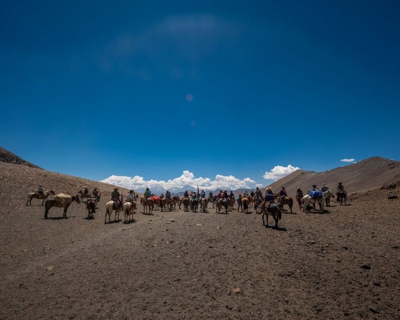 WhatsApp Image 2024 06 05 at 5.32.22 PM e1717624251316.jpeg