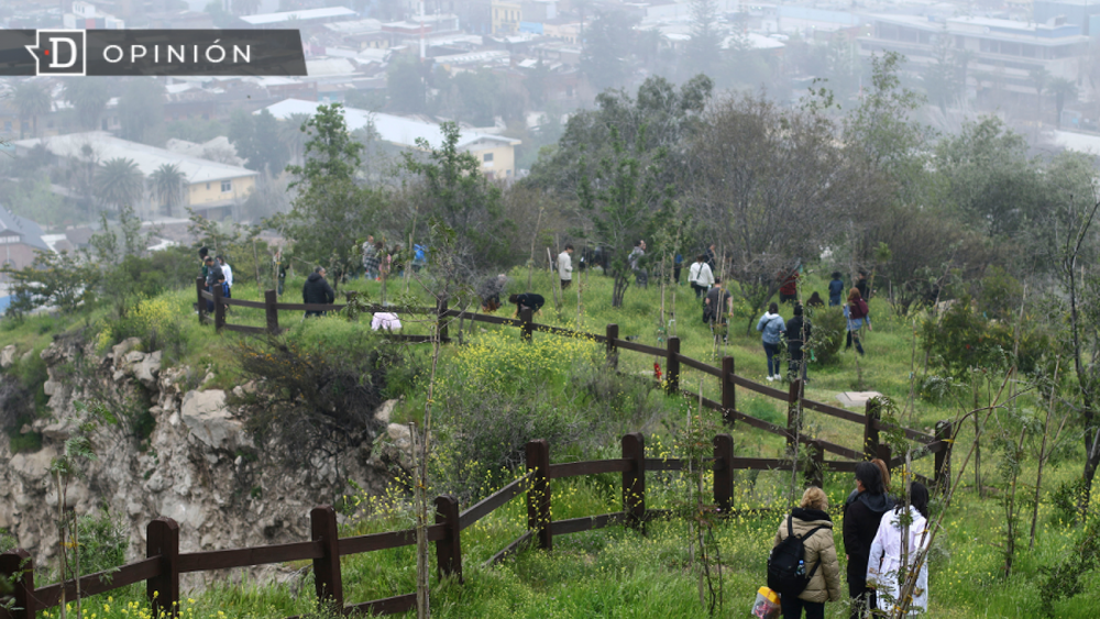 Día de los Cerros: Estimulando la participación temprana