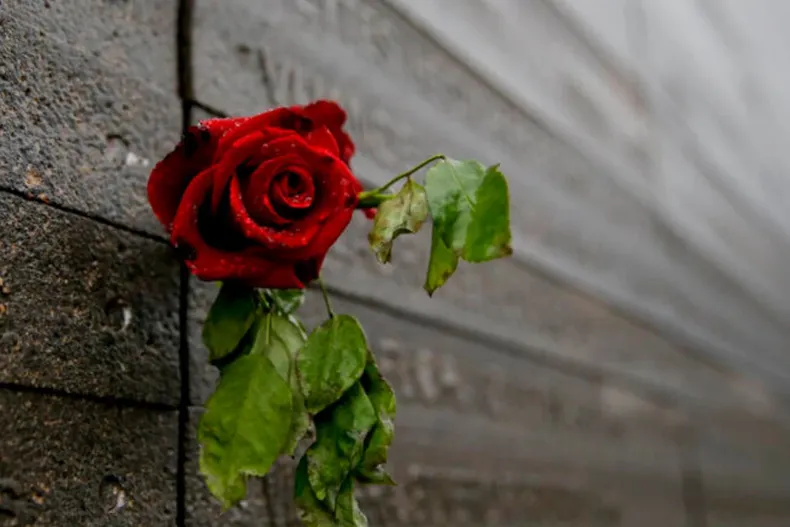 18622 diseno sin titulo 2025 07 04t175809.webp