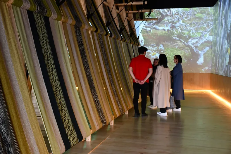 14118 manto gigante de osaka.webp