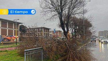 Sistema frontal causa apagón total desde la Región de La Araucanía a Los Lagos