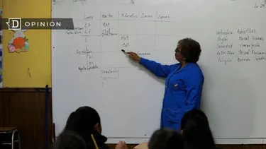 El Desconcierto | 18631 profesora haciendo clases.webp