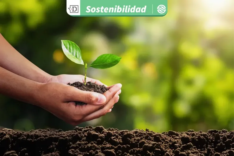 20308 diseno sin titulo 2025 08 05t151828.webp