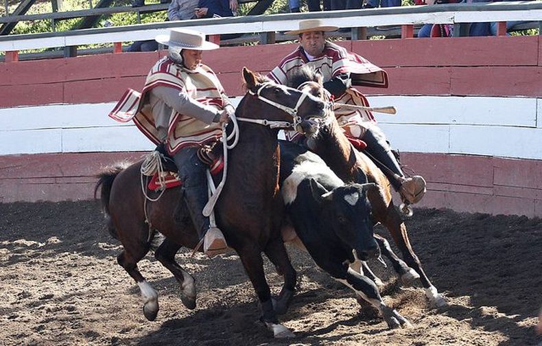 rodeo e1568302479631.jpg