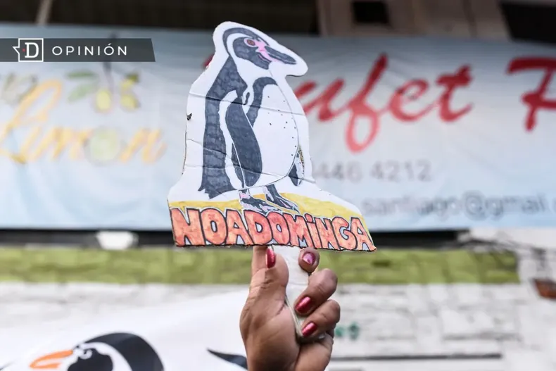 11306 cartel contra minera dominga con forma de pinguino.webp