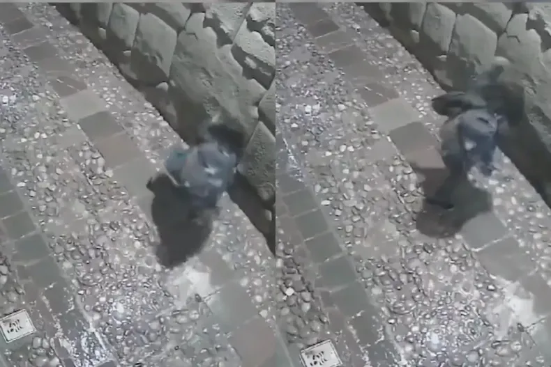 11770 diseno sin titulo 2025 02 18t212533.webp