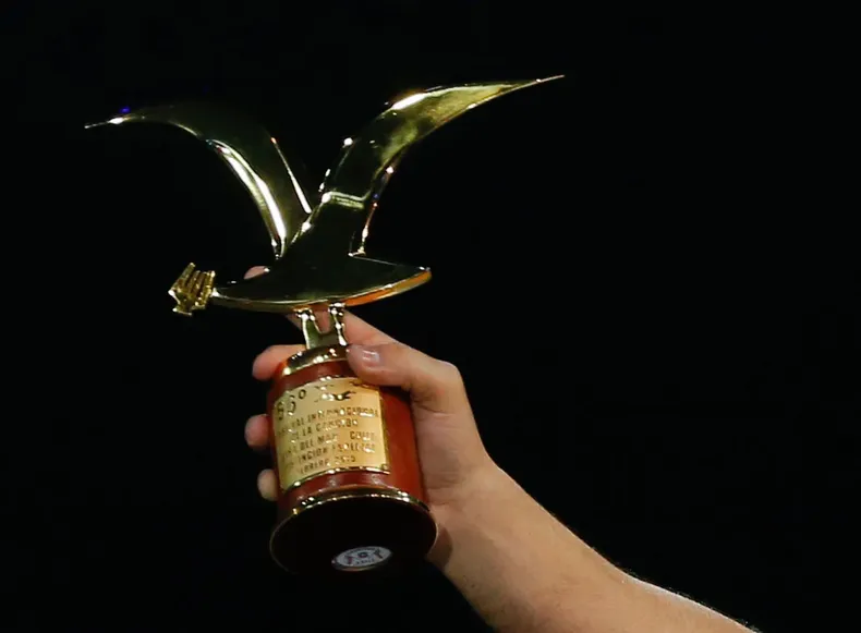 30393 gaviota de oro.webp