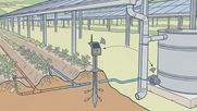 Tres iniciativas demuestran la viabilidad de combinar producción de alimentos y energía solar, con innovaciones en riego y almacenamiento.
