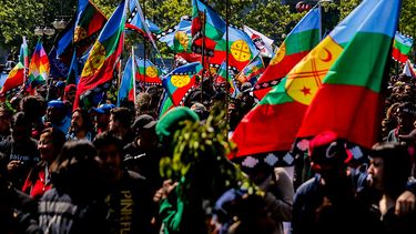Comunidades mapuche acusan que gobierno pagó a gente por participar de la Consulta Indígena