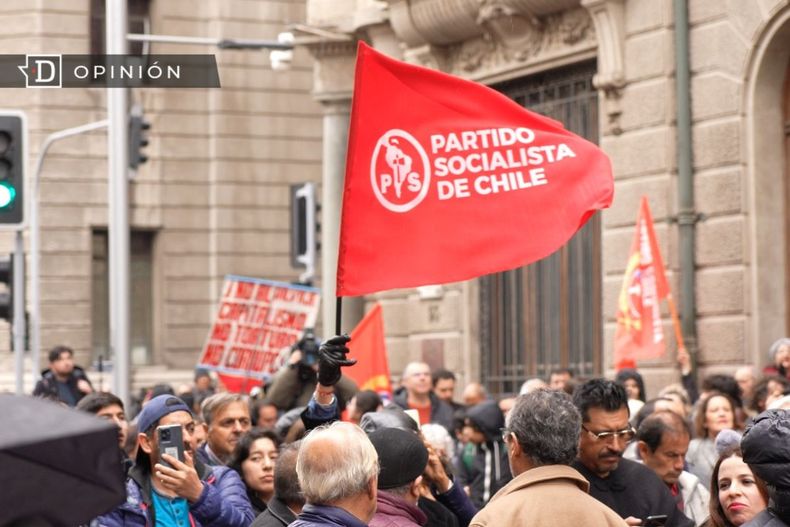 7360 manifestacion con bandera del partido socialista.jpg