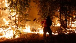 Incendios en Áreas Silvestres Protegidas en los últimos ocho años equivalen a 50 mil canchas de fútbol