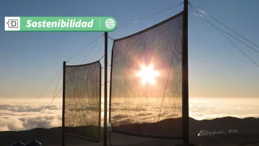 Enfrentando la escasez hídrica: Científicos lanzarán plataforma abierta que indica zonas de captación de agua de niebla