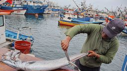 Pescadores artesanales piden al Congreso cambiar legislación marítima para proteger a las familias de pescadores desaparecidos