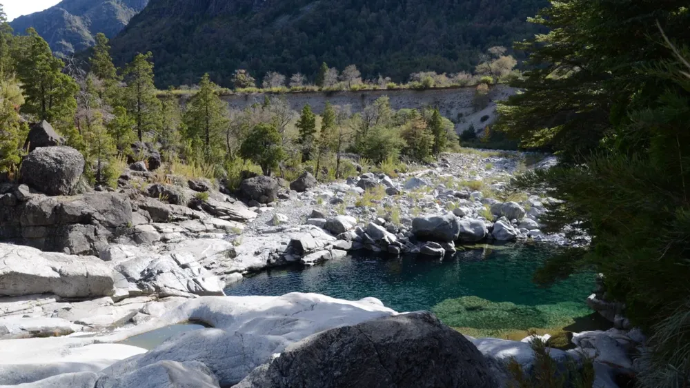 Cómo será el primer Parque Nacional de la región del Ñuble que contendrá 630 especies de flora