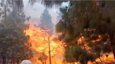Incendios forestales en Perú causan gran tragedia: La cifra de muertos subió a 20 personas