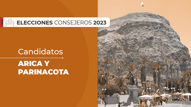 El Desconcierto | Arica y Parinacota.png