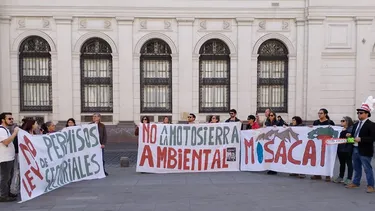 Motosierra: Organizaciones usan concepto de Milei contra Boric por debilitar control ambiental en vez de mejorarlo