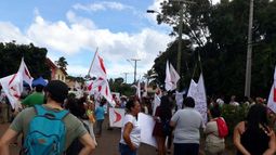 Conflicto en Rapa Nui: Se acumulan denuncias contra la administración del Parque Nacional