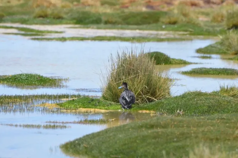 30541 diseno sin titulo 2026 02 26t144839.webp