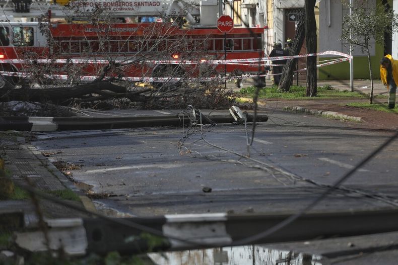 2682 arboles cables.jpg