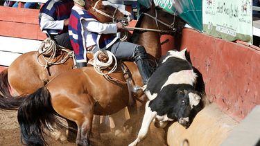 Consejo Constitucional: Pleno rechaza rodeo y cueca como deporte y baile nacional