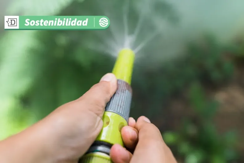 17376 diseno sin titulo 2025 06 12t154911.webp