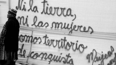 Lucía Delbene y la mirada del ecofeminismo: Es necesario abandonar totalmente la idea del desarrollo