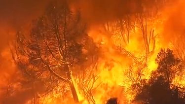 Incendio forestal no le da tregua a California: Fuego consume 6.800 hectáreas