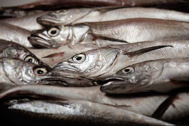 Diseño sin título - 2026-04-10T151137.499