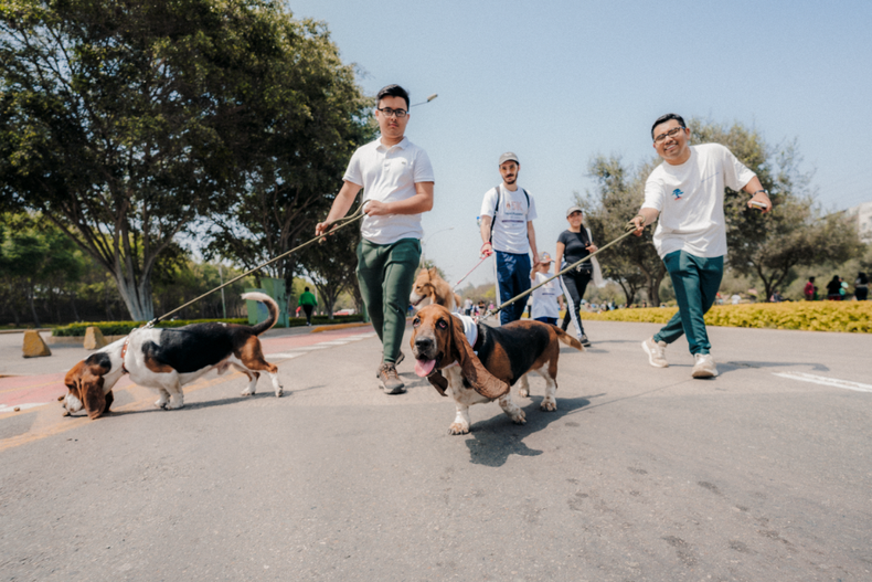 premiaran mejor disfraz y mejor  gracia   perros se toman santiago con corrida de hasta 3 km.png