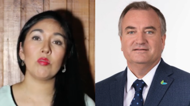 La denuncia pública de ex funcionaria mapuche contra diputado Andrés Molina por acoso y amenazas