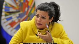Luz Mejía, experta de la OEA: La objeción de conciencia no puede bajo ningún concepto reducir el derecho de las mujeres a su vida